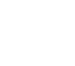 Language Services